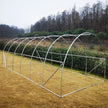 Polytunnel Greenhouse - UV Protected PE Mesh | Galvanized Steel Frame | Commercial & Home Growing - Poly Sunshine Outdoors